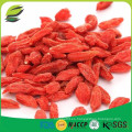 China Ningxia seco goji bayas semillas goji